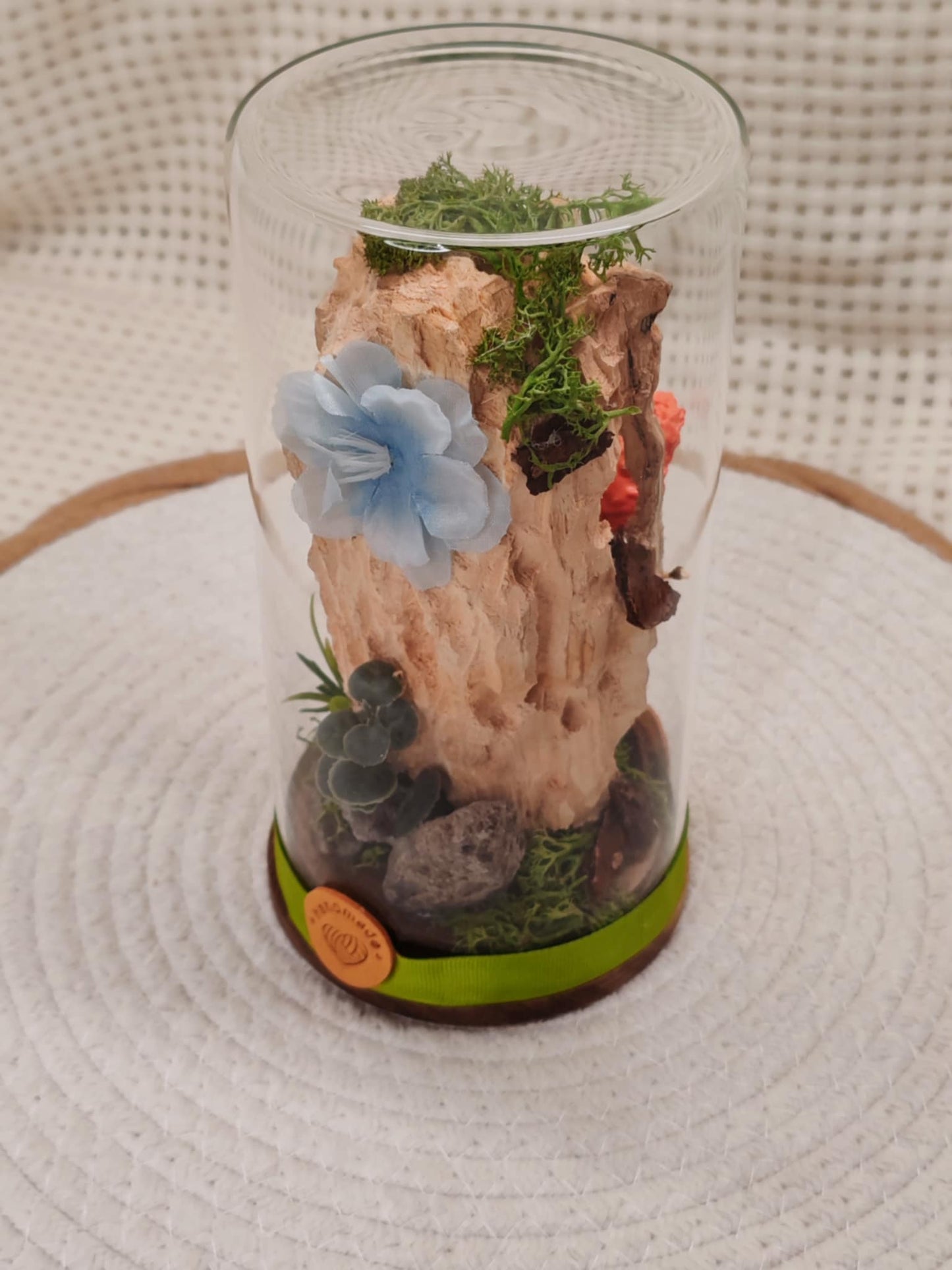 🐾 Cloche en verre - Rebelles🐾