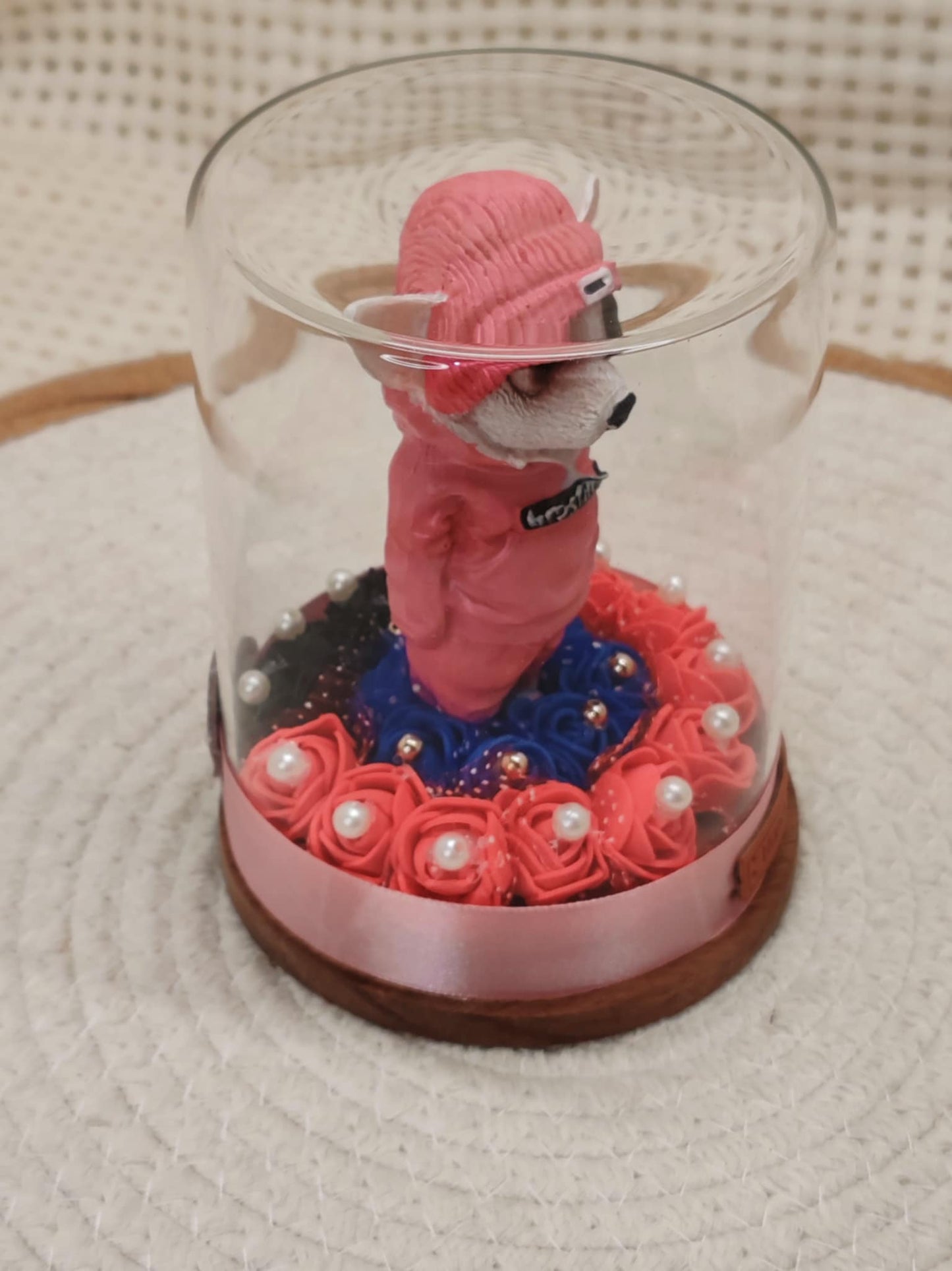 🐾 Cloche en verre - Chihuahua 🐾