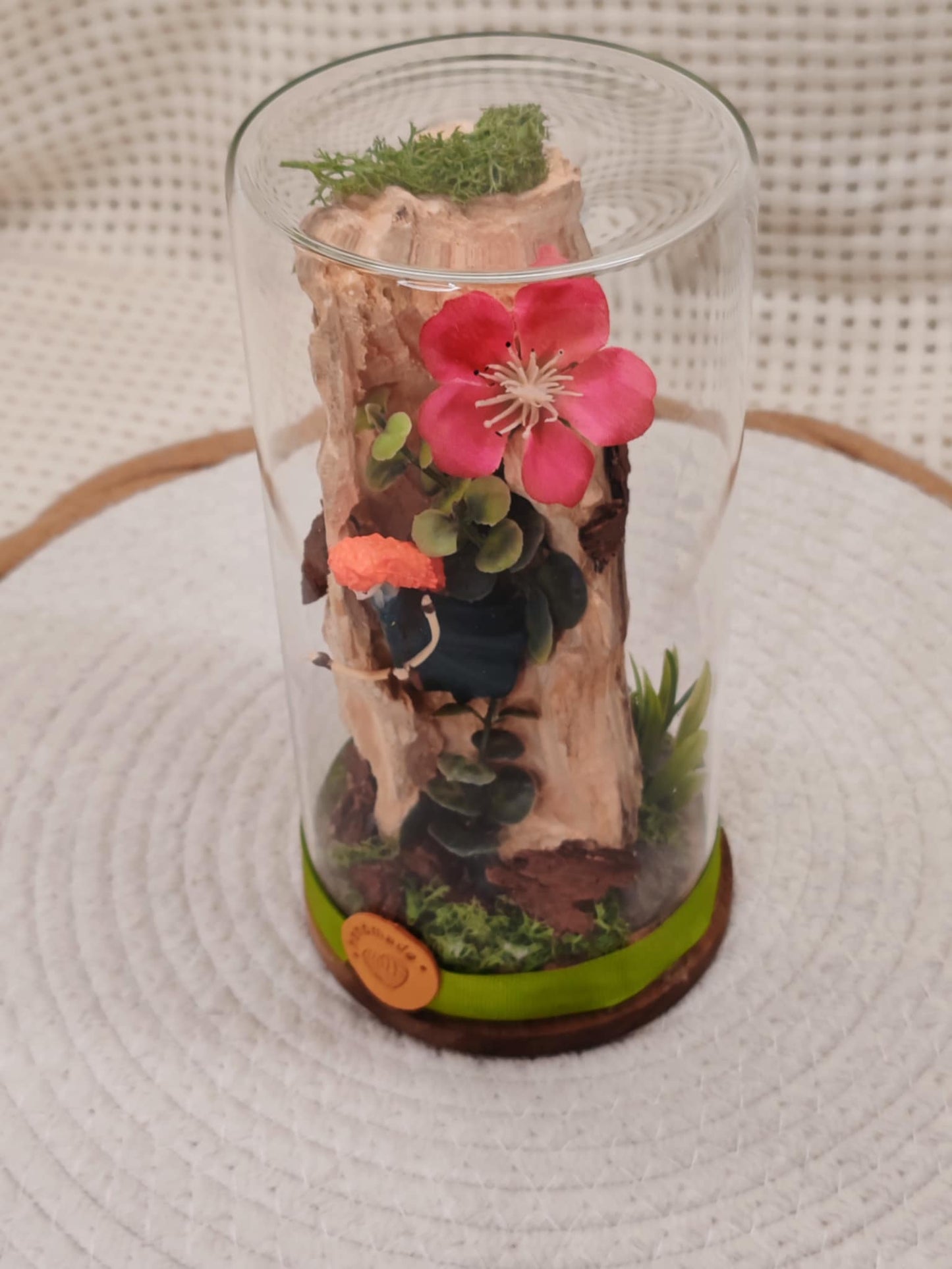 🐾 Cloche en verre - Rebelles🐾