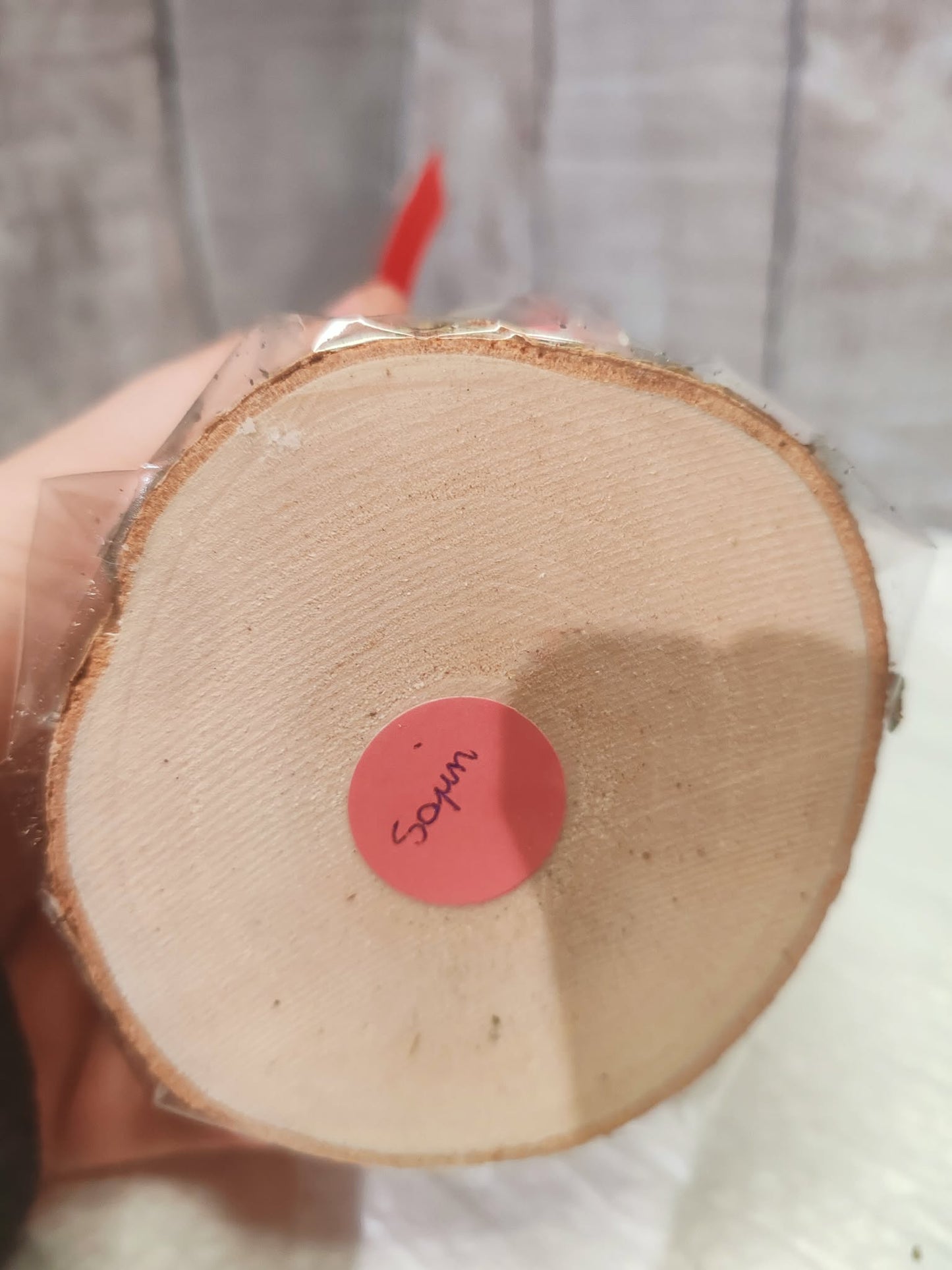 Bougie artisanale “Éveil du Sapin” – 180gr