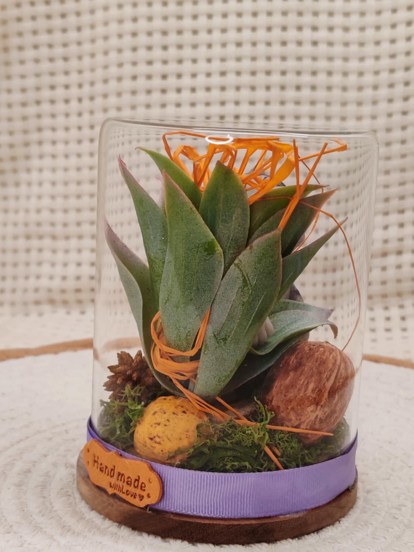 🐾 Cloche en verre - Chat Coquin🐾