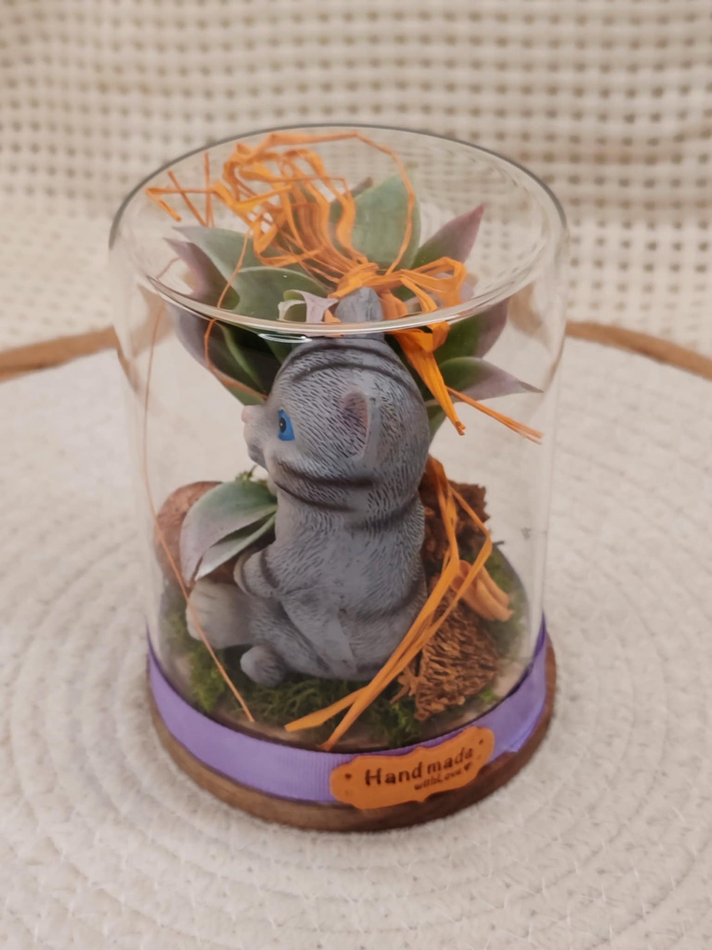 🐾 Cloche en verre - Chat Coquin🐾