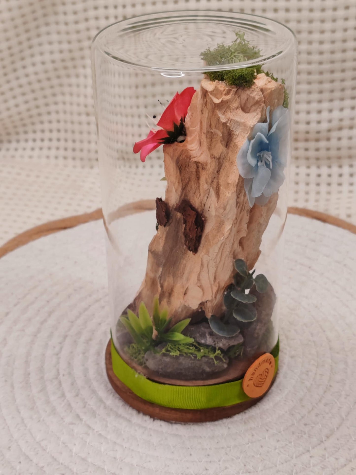 🐾 Cloche en verre - Rebelles🐾