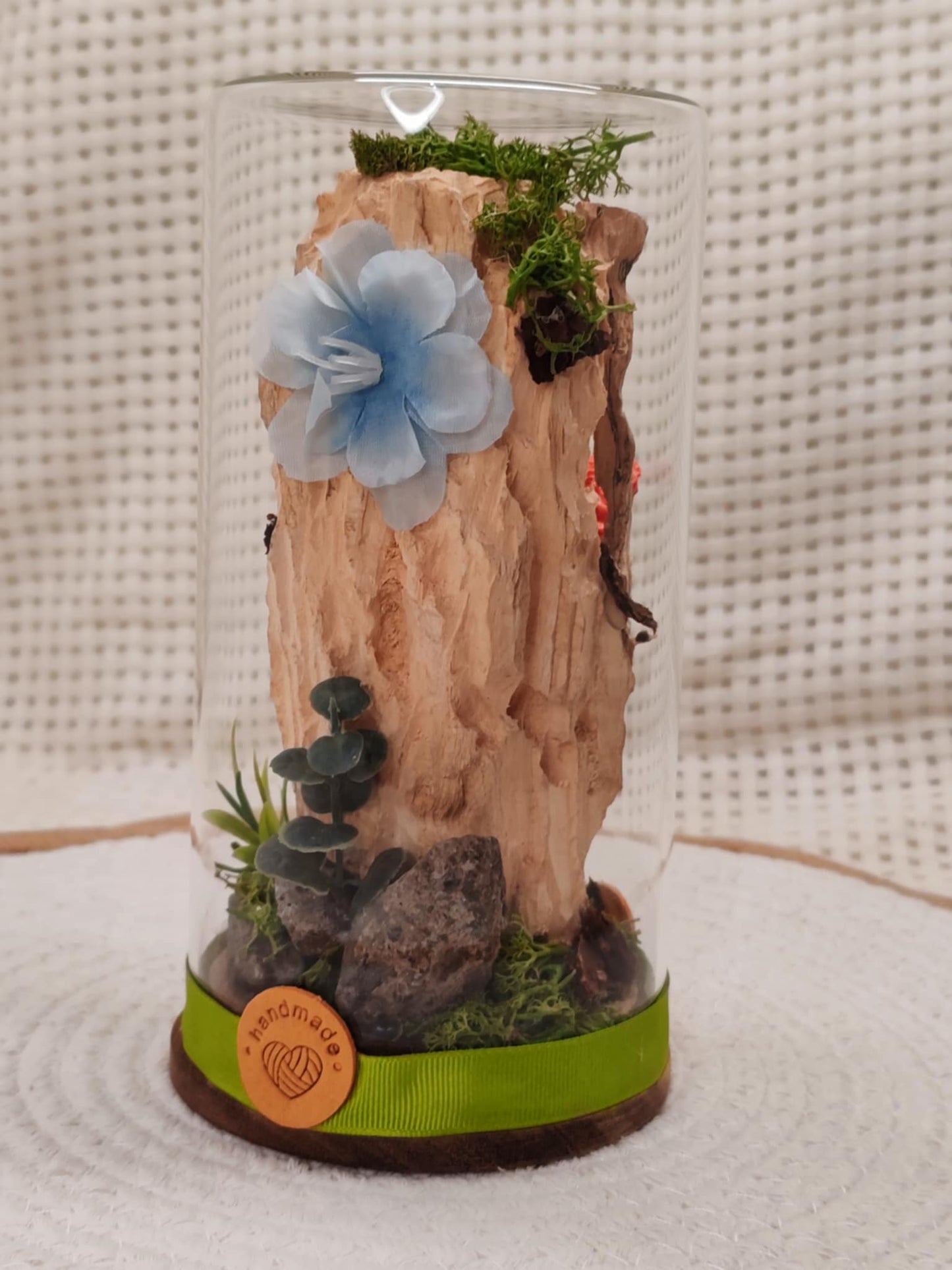 🐾 Cloche en verre - Rebelles🐾